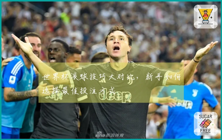 世界杯滚球技巧大对比，新手如何选择最佳投注方式