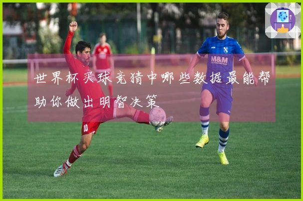 世界杯买球竞猜中哪些数据最能帮助你做出明智决策