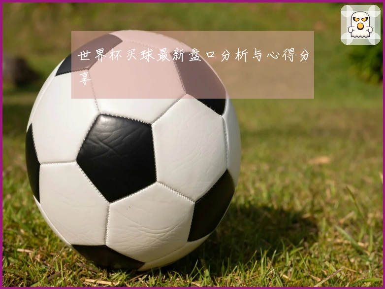 世界杯买球最新盘口分析与心得分享