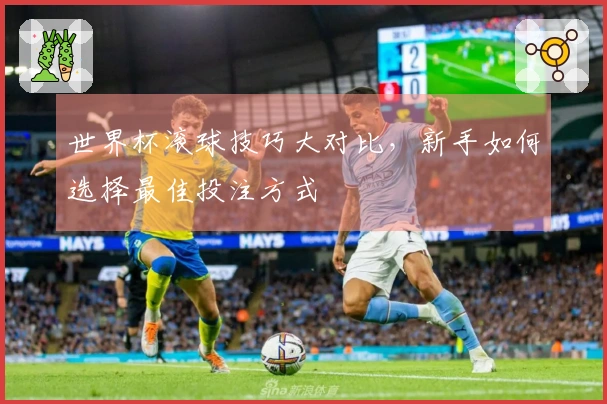 世界杯滚球技巧大对比，新手如何选择最佳投注方式