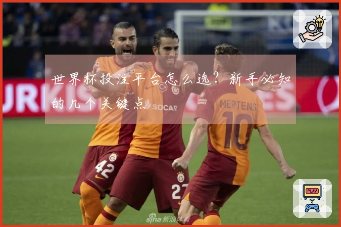 世界杯投注平台怎么选？新手必知的几个关键点