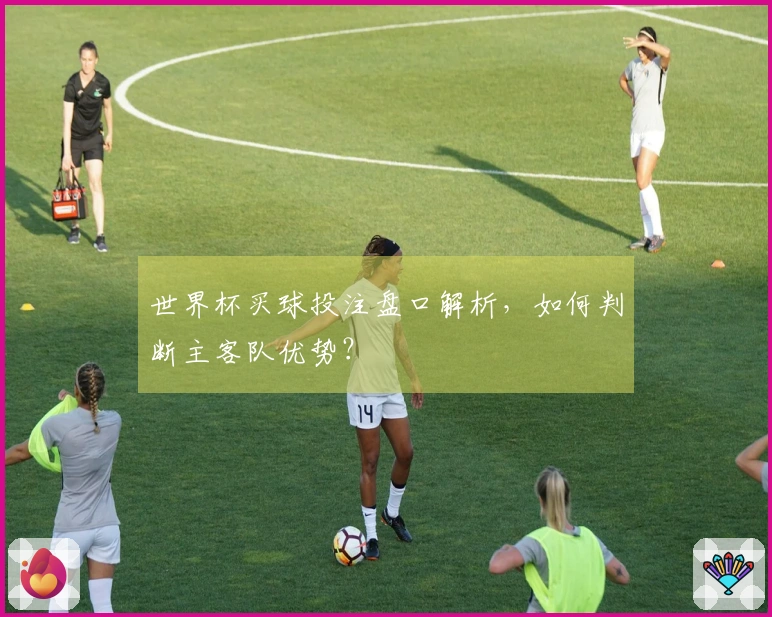 世界杯买球投注盘口解析，如何判断主客队优势？