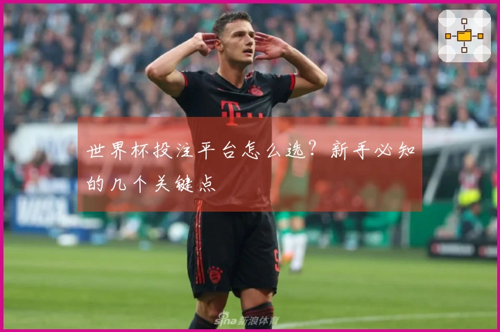 世界杯投注平台怎么选？新手必知的几个关键点