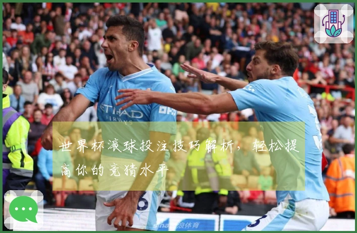 世界杯滚球投注技巧解析，轻松提高你的竞猜水平
