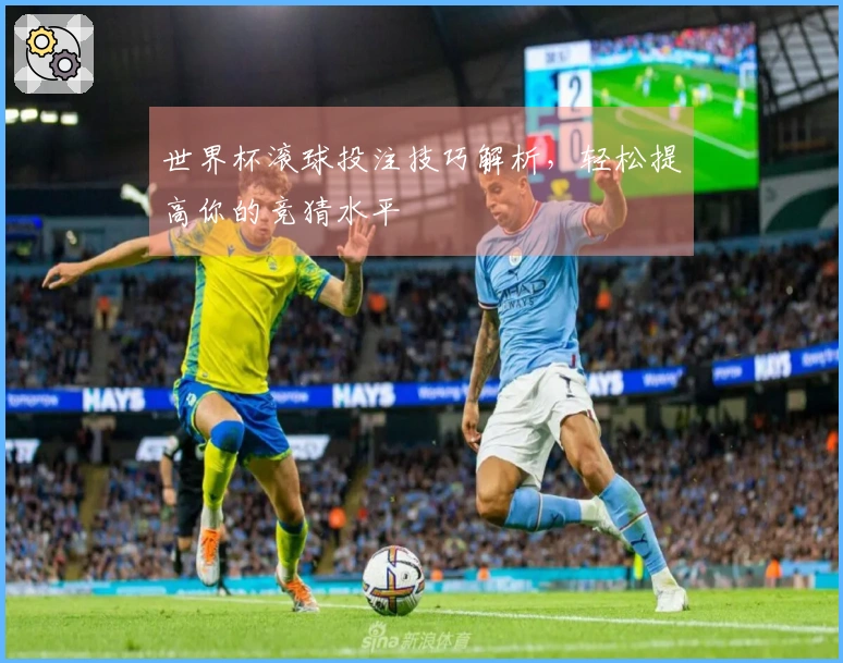世界杯滚球投注技巧解析，轻松提高你的竞猜水平